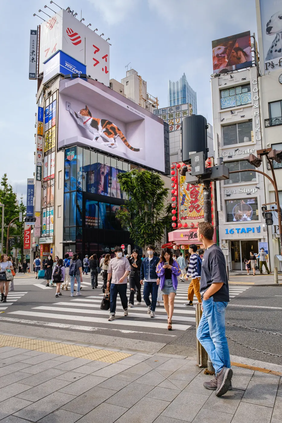 Japón, Tokio · Shinjuku