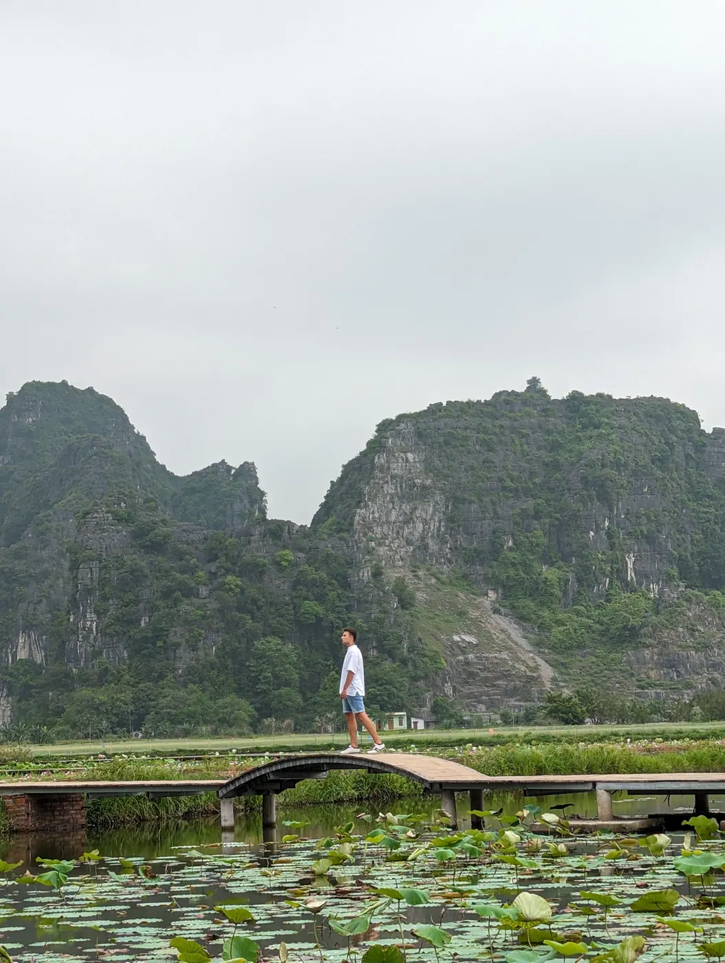 Vietnam, Ninh Binh · Karst